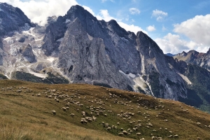 3 Hiking Trails You Can Not Miss In The Italian Dolomites thumbnail